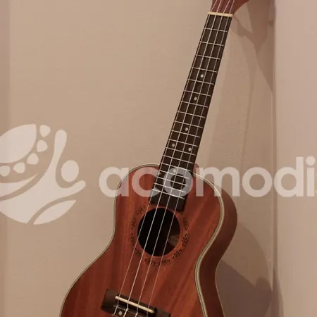 Vigatans