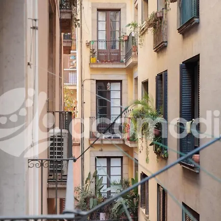 Vigatans * Barcelona