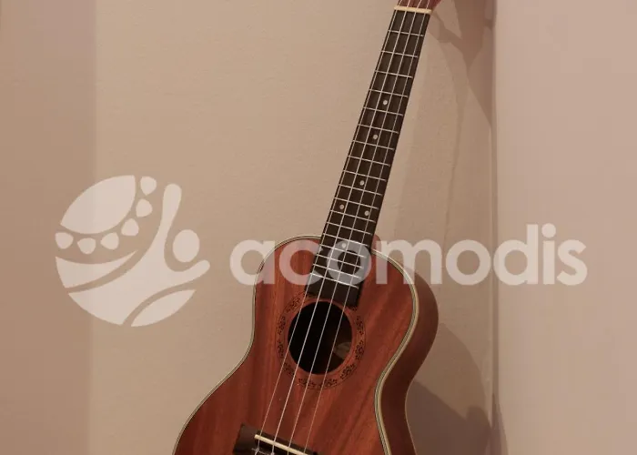 Vigatans