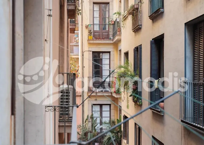 Vigatans * Barcelona